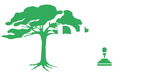 DigNShift_logo_2-1.png